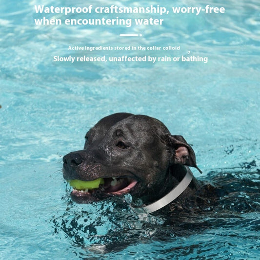 Dog anxiety relief collars in water, helping to calm stress and nervousness for dogs during baths or swim time.
