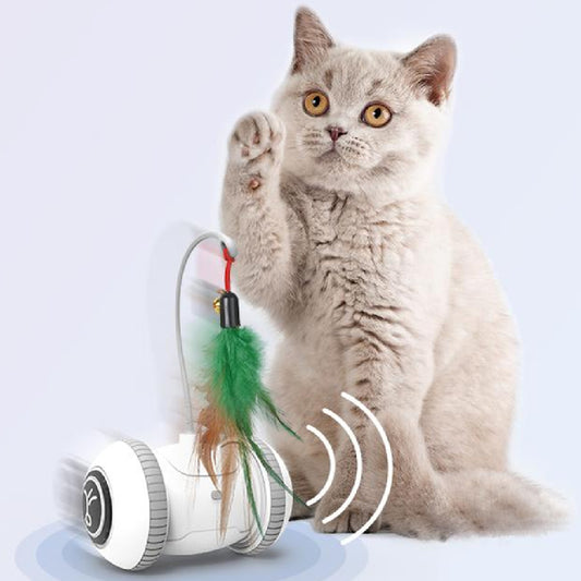 Interactive Cat Feather Toy with Interchangeable Heads 